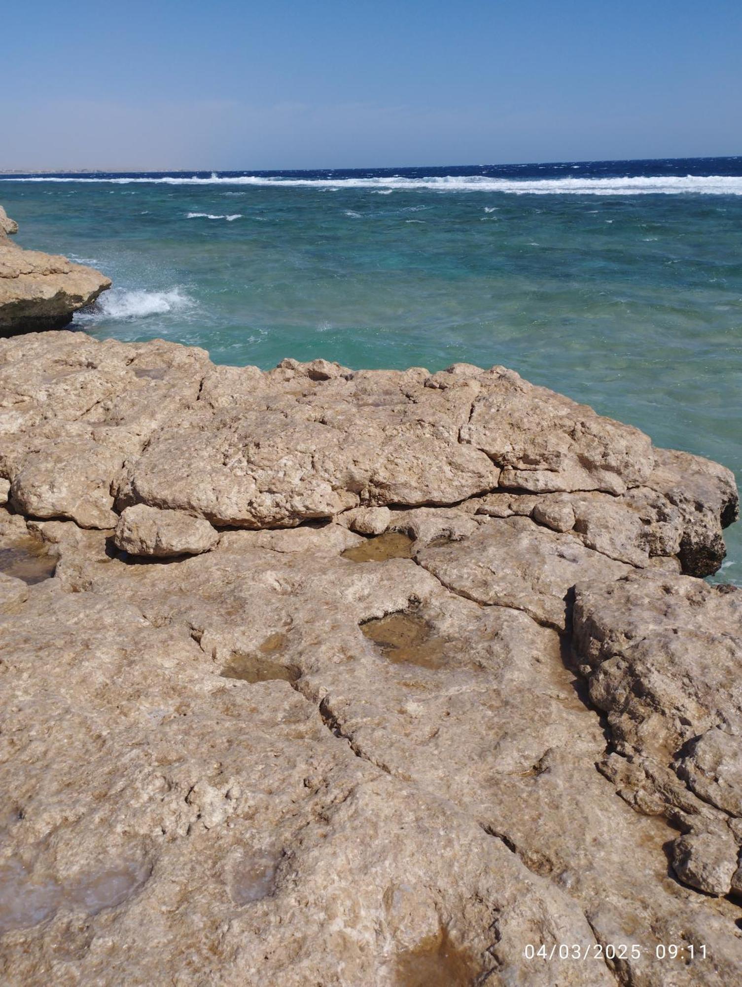 Oyster Bay Resort And Spa Marsa Alam Eksteriør billede